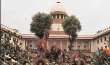 'हम कुछ नहीं कर सकते', सुप्रीम कोर्ट ने दहेज और घरेलू हिंसा कानून में सुधार की मांग वाली याचिका खारिज की