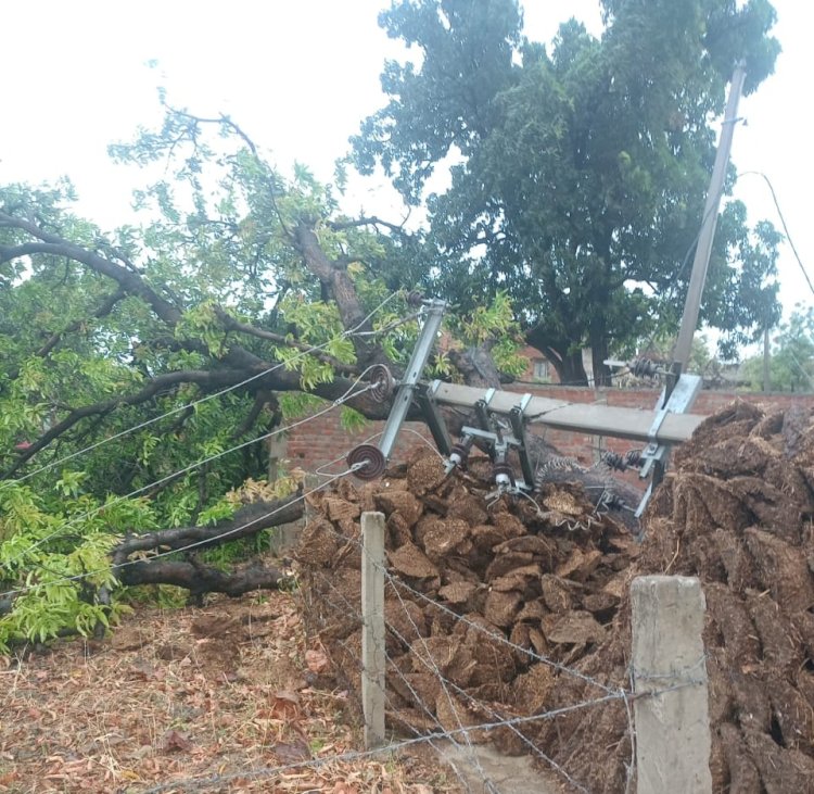 आंधीपानी से किसान हुए मायूस....... अरमानों पर फिरा पानी