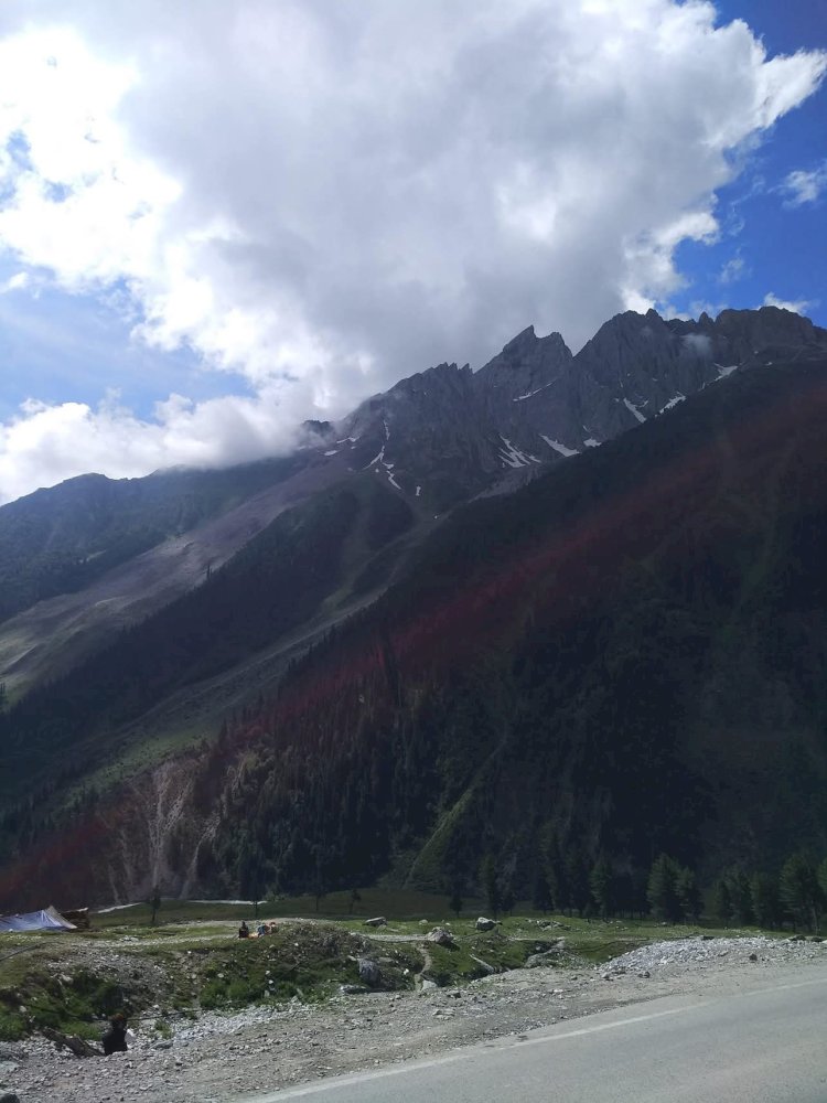 पर्यावरण दिवस विशेष : उपभोग करो और फेंको के नजरिए से बचें